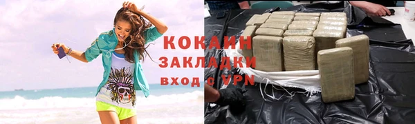 шишки Балахна