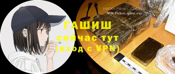 шишки Балахна