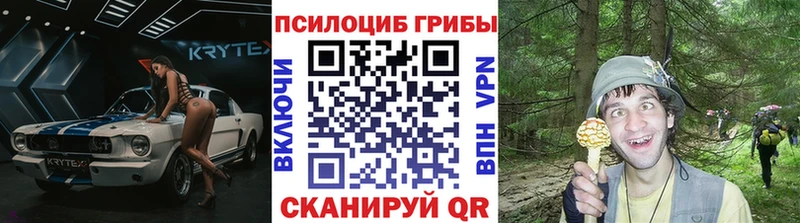 купить   Светлый  Псилоцибиновые грибы Cubensis 